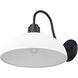 Levitt 1 Light 11.63 inch Natural Black Outdoor Wall Light in Natural White